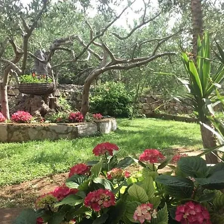 דירה With Parking Space Sucuraj, Hvar - 22239 *